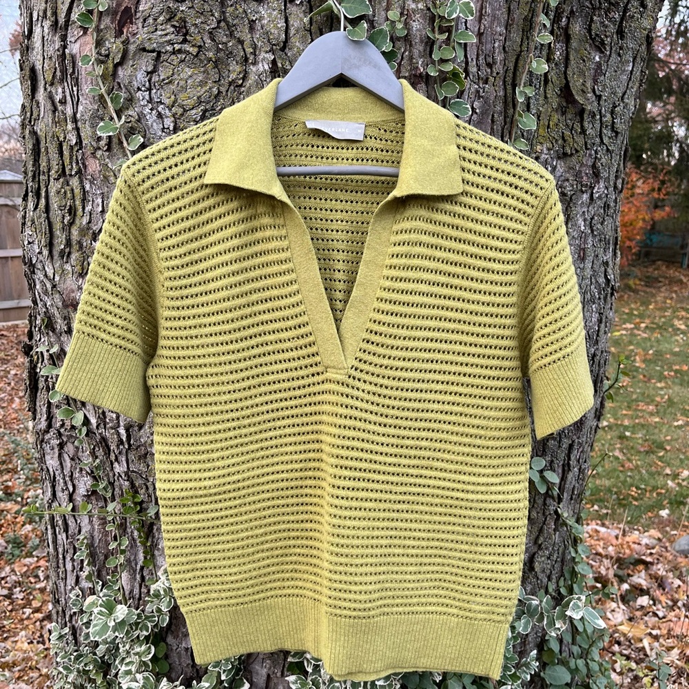 Everlane Merino Polo
